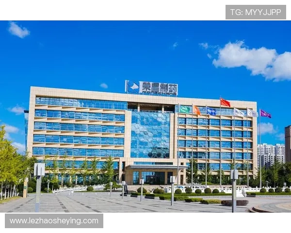 探索k8凯发国际娱乐大厅的移动端体验优化，让你随时随地享受高品质的游戏娱乐